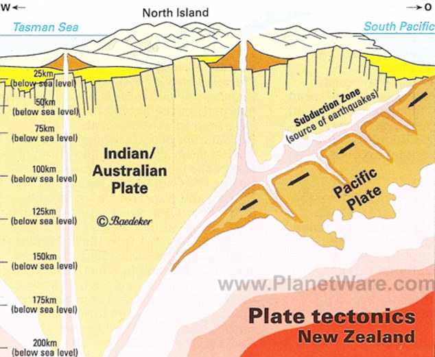 New Zealand tectonics 2